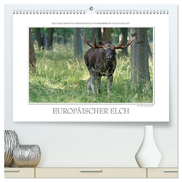 Emotionale Momente: Europäischer Elch. (hochwertiger Premium Wandkalender 2024 DIN A2 quer), Kunstdruck in Hochglanz, Ingo Gerlach GDT