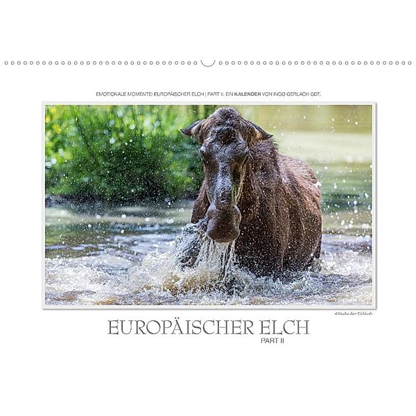 Emotionale Momente: Europäischer Elch Part II (Wandkalender 2023 DIN A2 quer), Ingo Gerlach GDT