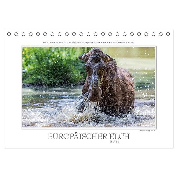 Emotionale Momente: Europäischer Elch Part II (Tischkalender 2025 DIN A5 quer), CALVENDO Monatskalender, Calvendo, Ingo Gerlach GDT