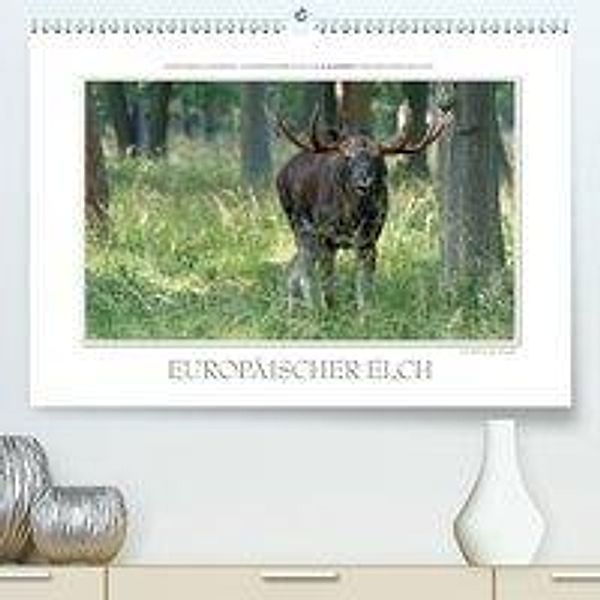 Emotionale Momente: Europäischer Elch.(Premium, hochwertiger DIN A2 Wandkalender 2020, Kunstdruck in Hochglanz), Ingo Gerlach GDT