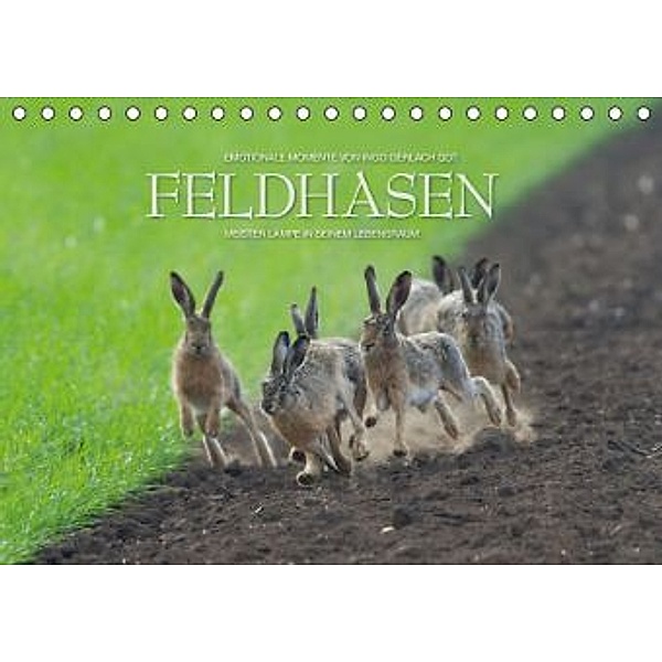 Emotionale Momente: Feldhasen / AT-Version (Tischkalender 2015 DIN A5 quer), Ingo Gerlach