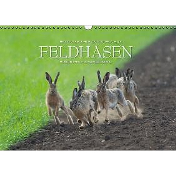 Emotionale Momente: Feldhasen / AT-Version (Wandkalender 2015 DIN A3 quer), Ingo Gerlach