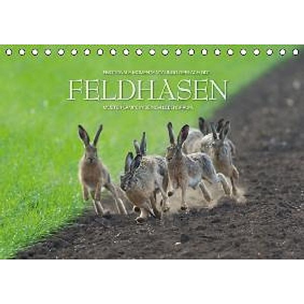 Emotionale Momente: Feldhasen / CH-Version (Tischkalender 2016 DIN A5 quer), Ingo Gerlach