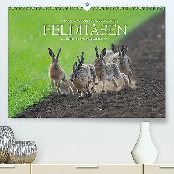 Emotionale Momente: Feldhasen / CH-Version(Premium, hochwertiger DIN A2 Wandkalender 2020, Kunstdruck in Hochglanz), Ingo Gerlach GDT