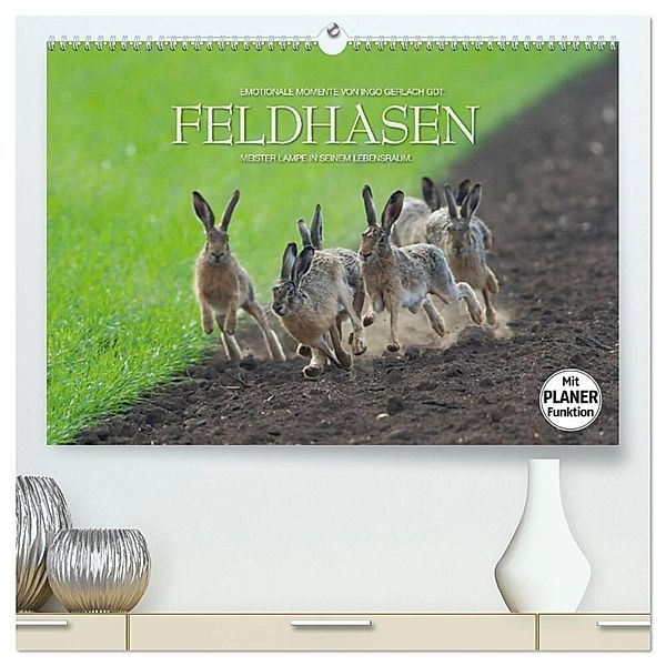 Emotionale Momente: Feldhasen (hochwertiger Premium Wandkalender 2024 DIN A2 quer), Kunstdruck in Hochglanz, Ingo Gerlach GDT