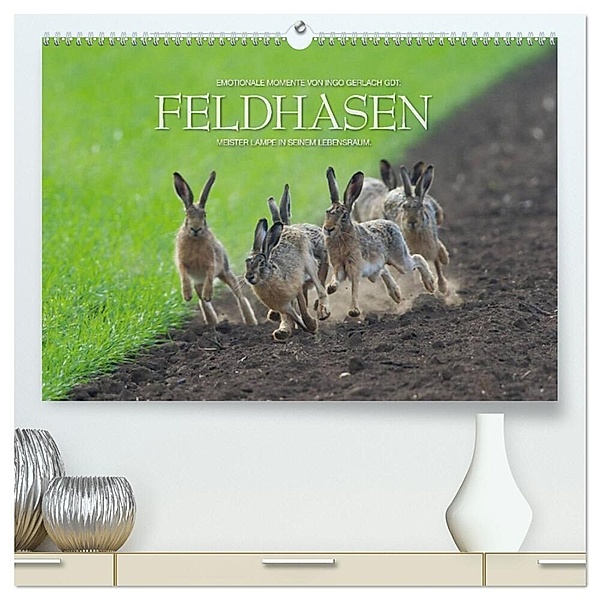 Emotionale Momente: Feldhasen (hochwertiger Premium Wandkalender 2024 DIN A2 quer), Kunstdruck in Hochglanz, Ingo Gerlach GDT