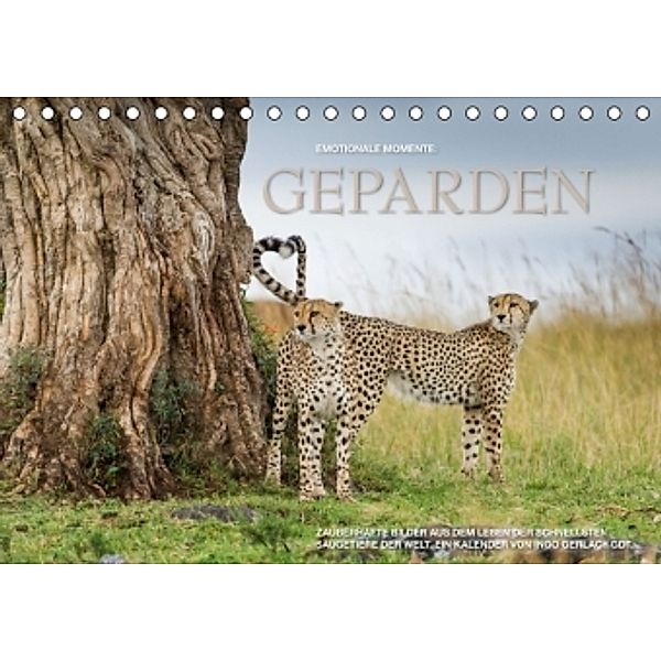 Emotionale Momente: Geparden / CH-Version (Tischkalender 2015 DIN A5 quer), Ingo Gerlach