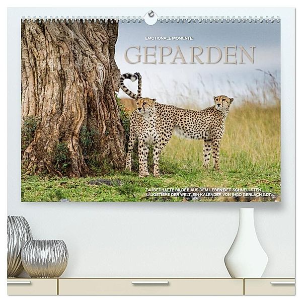 Emotionale Momente: Geparden (hochwertiger Premium Wandkalender 2024 DIN A2 quer), Kunstdruck in Hochglanz, Ingo Gerlach GDT