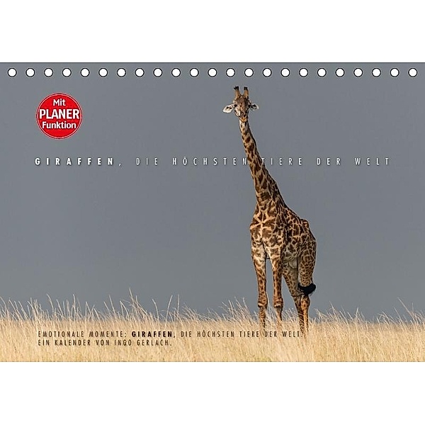 Emotionale Momente: Giraffen, die höchsten Tiere der Welt. (Tischkalender 2017 DIN A5 quer), Ingo Gerlach