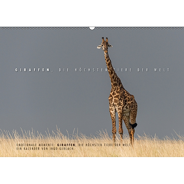 Emotionale Momente: Giraffen, die höchsten Tiere der Welt. (Wandkalender 2019 DIN A2 quer), Ingo Gerlach