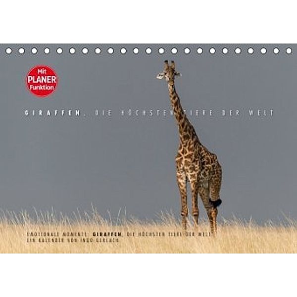 Emotionale Momente: Giraffen, die höchsten Tiere der Welt. (Tischkalender 2020 DIN A5 quer), Ingo Gerlach