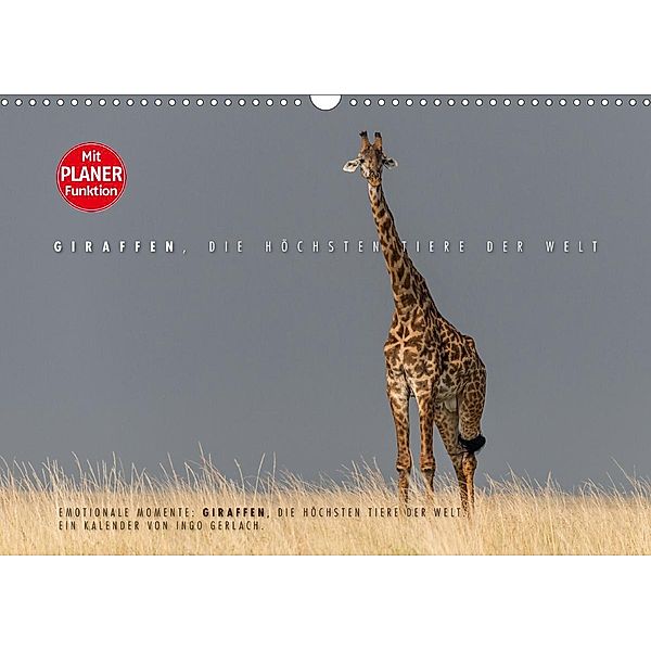 Emotionale Momente: Giraffen, die höchsten Tiere der Welt. (Wandkalender 2021 DIN A3 quer), Ingo Gerlach