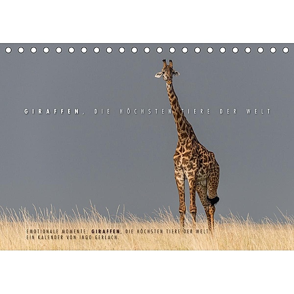 Emotionale Momente: Giraffen, die höchsten Tiere der Welt. (Tischkalender 2021 DIN A5 quer), Ingo Gerlach