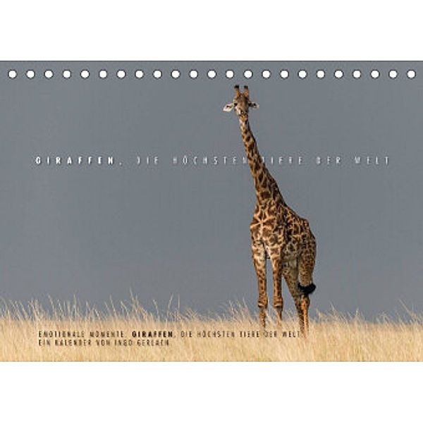 Emotionale Momente: Giraffen, die höchsten Tiere der Welt. (Tischkalender 2022 DIN A5 quer), Ingo Gerlach
