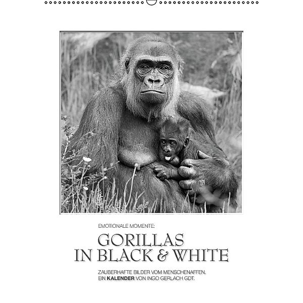 Emotionale Momente: Gorillas in black & white (Wandkalender 2014 DIN A2 hoch), Ingo Gerlach