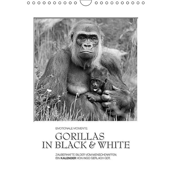 Emotionale Momente: Gorillas in black & white / CH-Version (Wandkalender 2018 DIN A4 hoch), Ingo Gerlach, Ingo Gerlach GDT