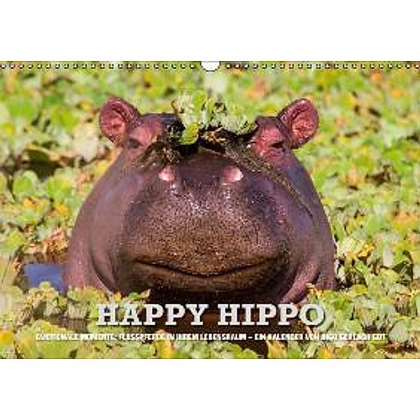 Emotionale Momente. Happy Hippo / AT-Version (Wandkalender 2015 DIN A3 quer), Ingo Gerlach