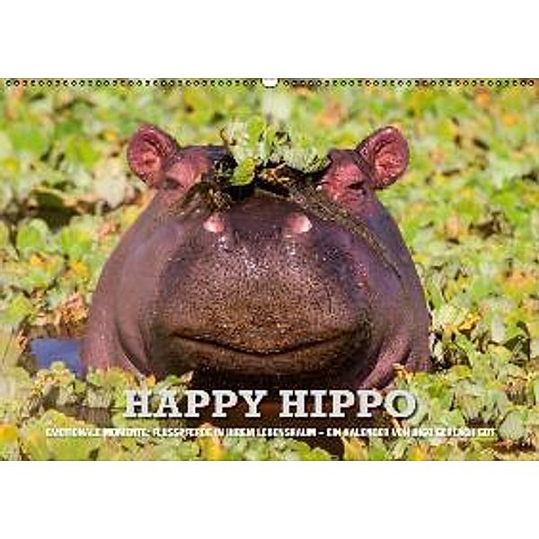 Emotionale Momente. Happy Hippo / AT-Version (Wandkalender 2015 DIN A2 quer), Ingo Gerlach