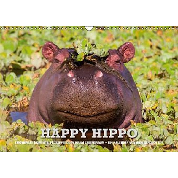 Emotionale Momente. Happy Hippo / CH-Version (Wandkalender 2016 DIN A3 quer), Ingo Gerlach
