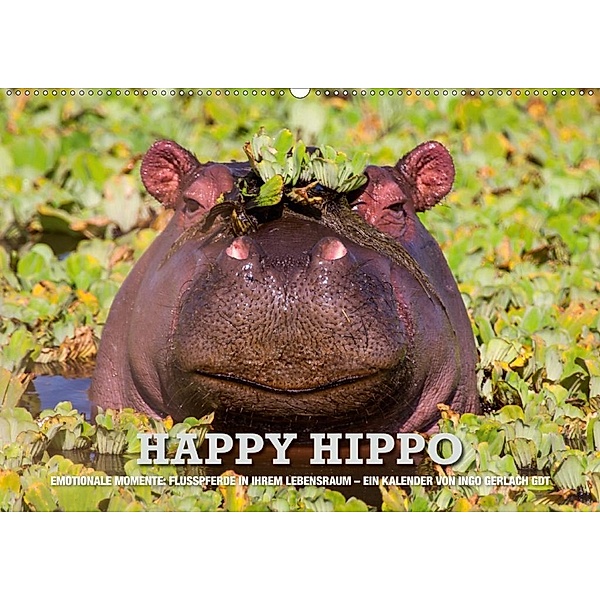 Emotionale Momente. Happy Hippo / CH-Version (Wandkalender 2020 DIN A2 quer), Ingo Gerlach GDT