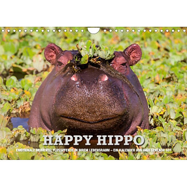 Emotionale Momente. Happy Hippo / CH-Version (Wandkalender 2022 DIN A4 quer), Ingo Gerlach GDT