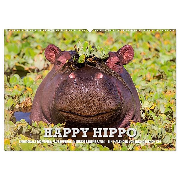 Emotionale Momente. Happy Hippo / CH-Version (Wandkalender 2024 DIN A2 quer), CALVENDO Monatskalender, Ingo Gerlach GDT
