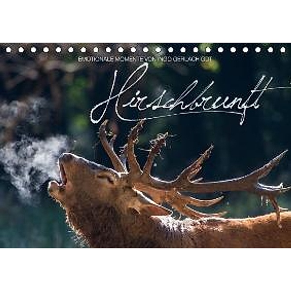 Emotionale Momente: Hirschbrunft / CH-Version (Tischkalender 2015 DIN A5 quer), Ingo Gerlach