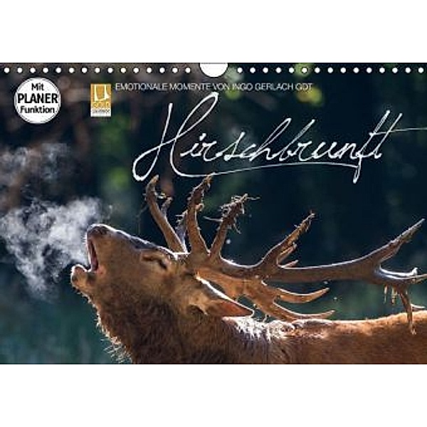 Emotionale Momente: Hirschbrunft (Wandkalender 2016 DIN A4 quer), Ingo Gerlach