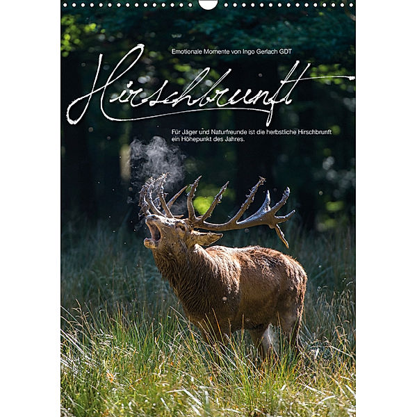 Emotionale Momente: Hirschbrunft (Wandkalender 2019 DIN A3 hoch), Ingo Gerlach