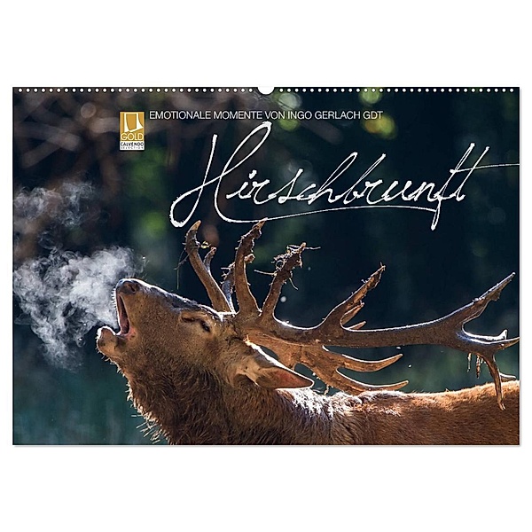 Emotionale Momente: Hirschbrunft (Wandkalender 2024 DIN A2 quer), CALVENDO Monatskalender, Ingo Gerlach GDT