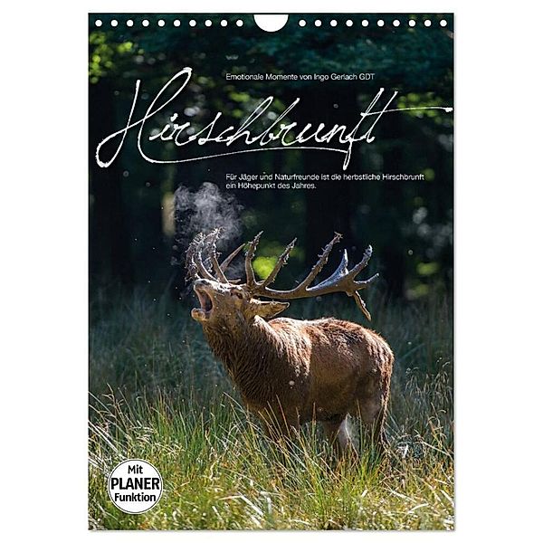 Emotionale Momente: Hirschbrunft (Wandkalender 2024 DIN A4 hoch), CALVENDO Monatskalender, Ingo Gerlach GDT