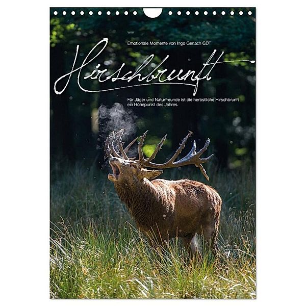 Emotionale Momente: Hirschbrunft (Wandkalender 2024 DIN A4 hoch), CALVENDO Monatskalender, Ingo Gerlach GDT