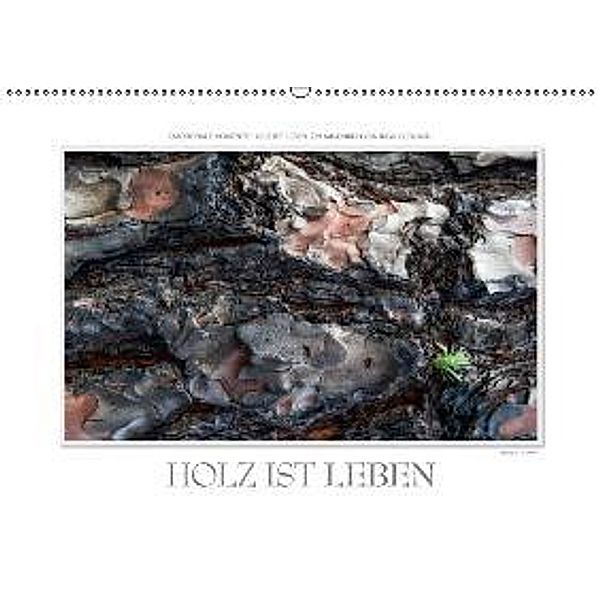 Emotionale Momente: Holz ist Leben. / CH-Version (Wandkalender 2015 DIN A2 quer), Ingo Gerlach