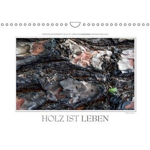 Emotionale Momente: Holz ist Leben. / CH-Version (Wandkalender 2016 DIN A4 quer), Ingo Gerlach