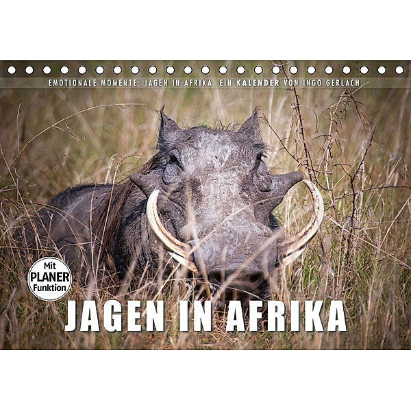 Emotionale Momente: Jagen in Afrika. (Tischkalender 2019 DIN A5 quer), Ingo Gerlach