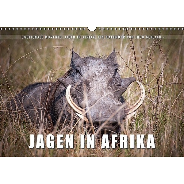 Emotionale Momente: Jagen in Afrika. (Wandkalender 2017 DIN A3 quer), Ingo Gerlach