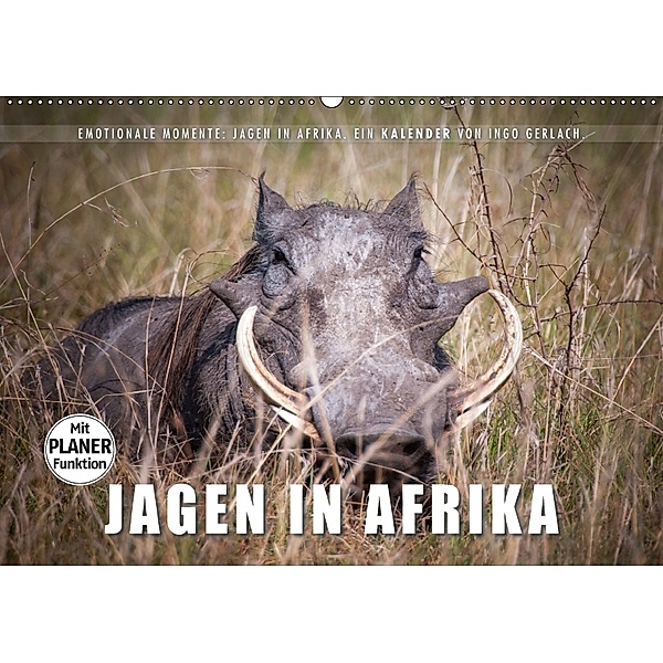 Emotionale Momente: Jagen in Afrika. (Wandkalender 2018 DIN A2 quer) Dieser erfolgreiche Kalender wurde dieses Jahr mit, Ingo Gerlach