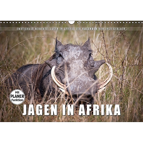 Emotionale Momente: Jagen in Afrika. (Wandkalender 2018 DIN A3 quer) Dieser erfolgreiche Kalender wurde dieses Jahr mit, Ingo Gerlach