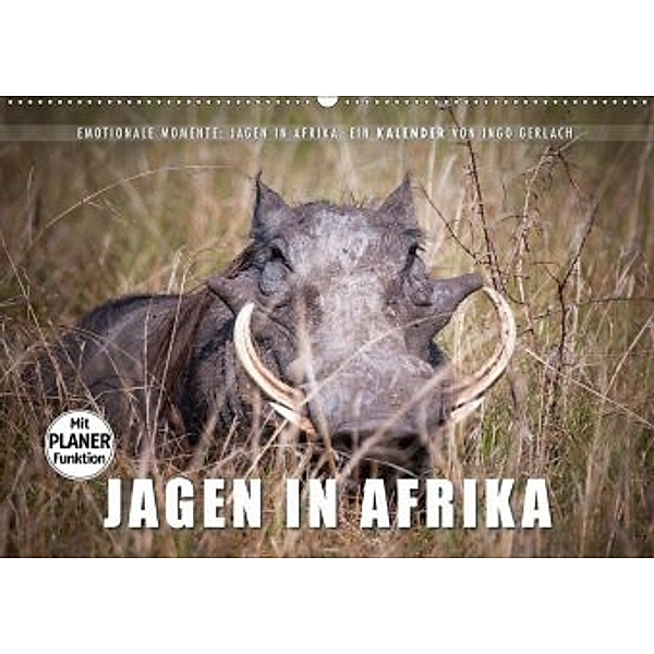 Emotionale Momente: Jagen in Afrika. (Wandkalender 2020 DIN A2 quer), Ingo Gerlach