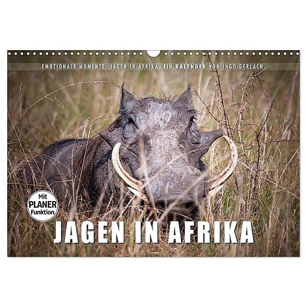 Emotionale Momente: Jagen in Afrika. (Wandkalender 2024 DIN A3 quer), CALVENDO Monatskalender, Ingo Gerlach