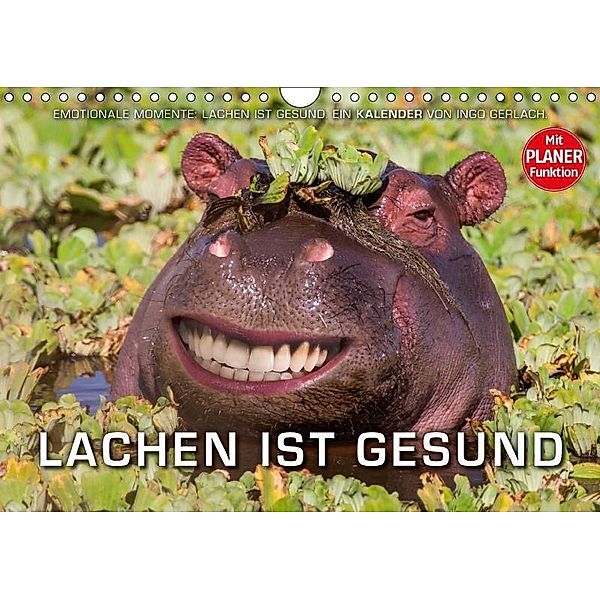 Emotionale Momente: Lachen ist gesund. (Wandkalender 2017 DIN A4 quer), Ingo Gerlach