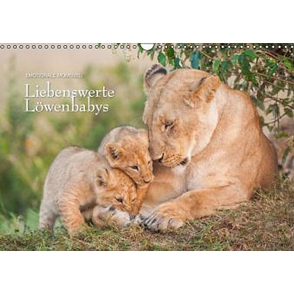 Emotionale Momente: Liebenswerte Löwenbabys (Wandkalender 2016 DIN A3 quer), Ingo Gerlach
