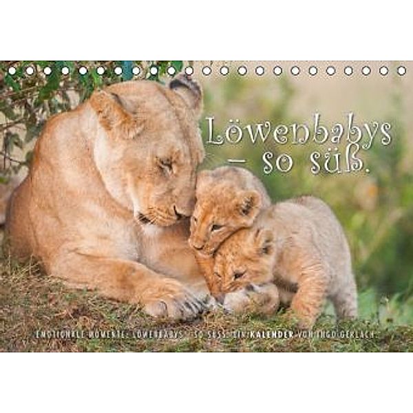Emotionale Momente: Löwenbabys - so süß. (Tischkalender 2015 DIN A5 quer), Ingo Gerlach