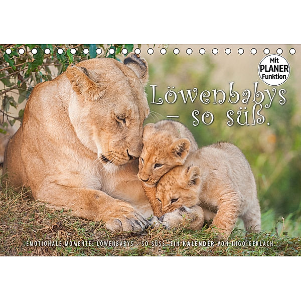 Emotionale Momente: Löwenbabys - so süß. (Tischkalender 2019 DIN A5 quer), Ingo Gerlach