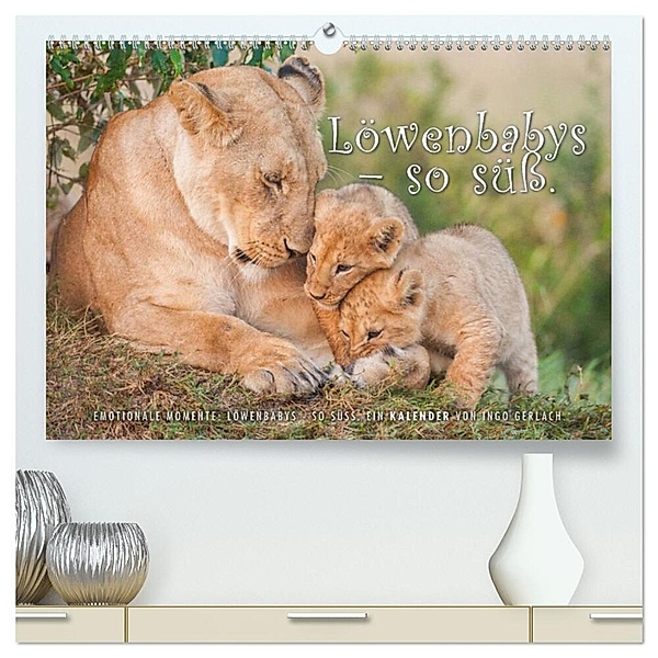Emotionale Momente: Löwenbabys - so süss. (hochwertiger Premium Wandkalender 2024 DIN A2 quer), Kunstdruck in Hochglanz, Ingo Gerlach