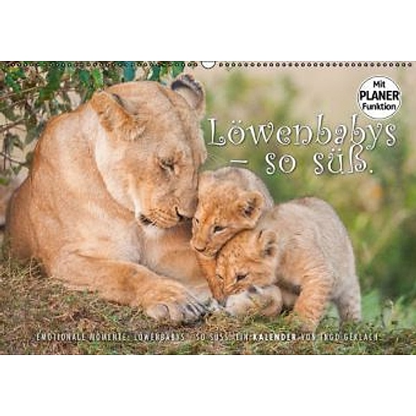 Emotionale Momente: Löwenbabys - so süß. (Wandkalender 2016 DIN A2 quer), Ingo Gerlach