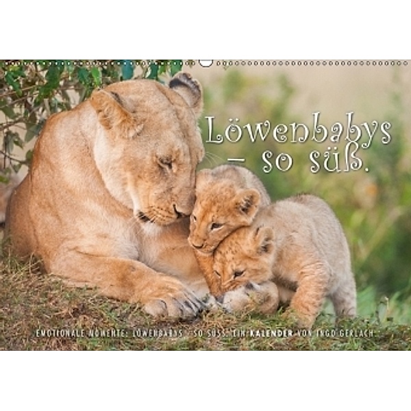 Emotionale Momente: Löwenbabys - so süß. (Wandkalender 2017 DIN A2 quer), Ingo Gerlach