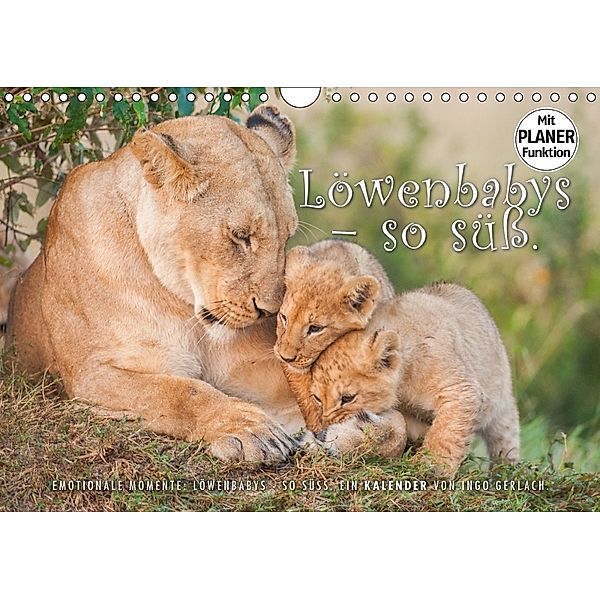 Emotionale Momente: Löwenbabys - so süß. (Wandkalender 2018 DIN A4 quer), Ingo Gerlach