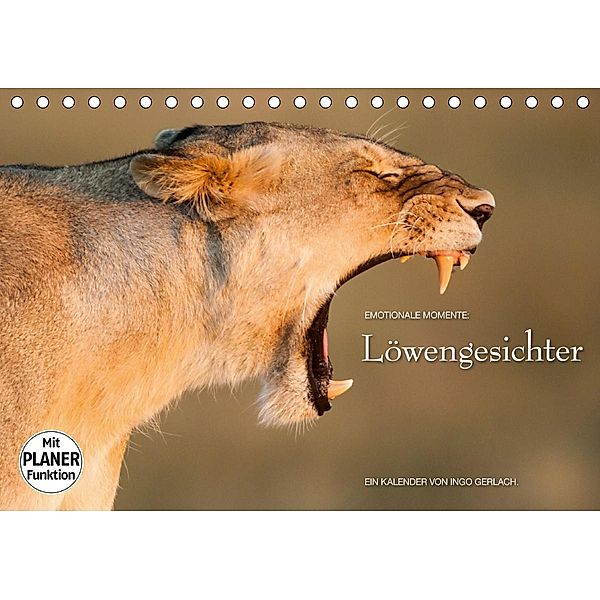 Emotionale Momente: Löwengesichter (Tischkalender 2021 DIN A5 quer), Ingo Gerlach GDT