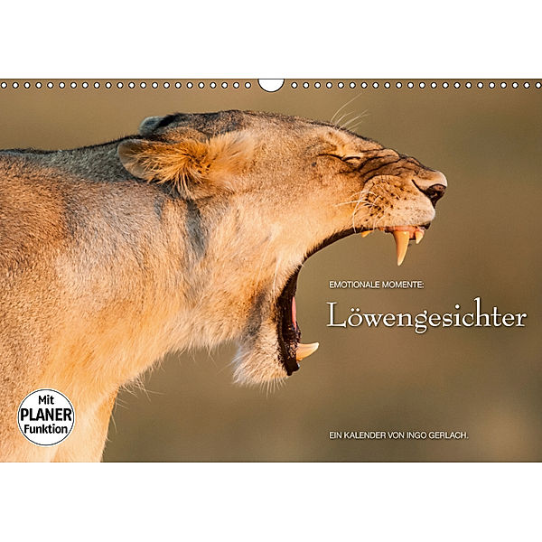 Emotionale Momente: Löwengesichter (Wandkalender 2019 DIN A3 quer), Ingo Gerlach